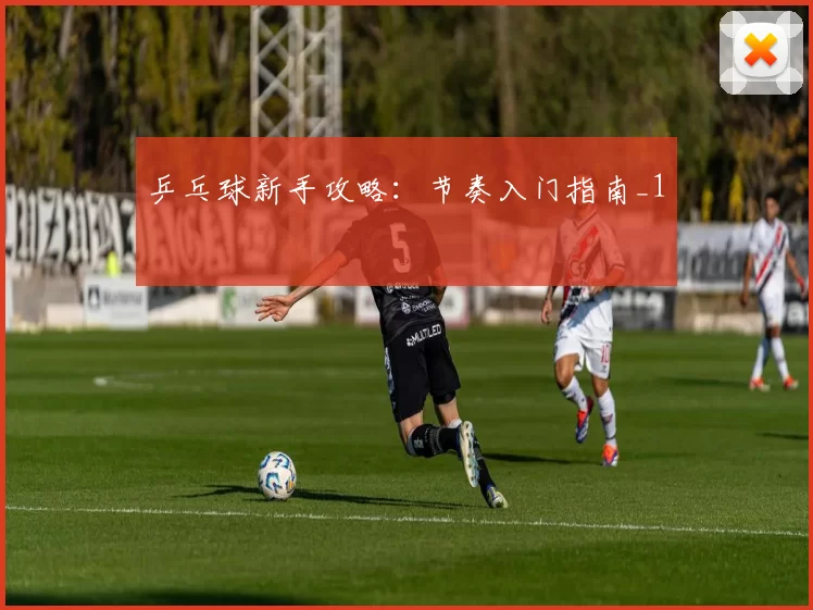 乒乓球新手攻略：节奏入门指南_1