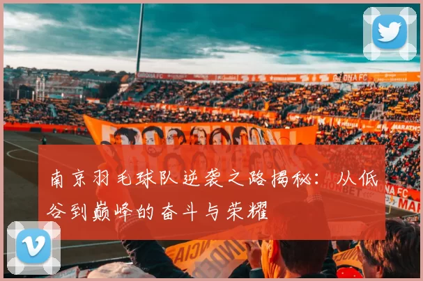 南京羽毛球队逆袭之路揭秘：从低谷到巅峰的奋斗与荣耀