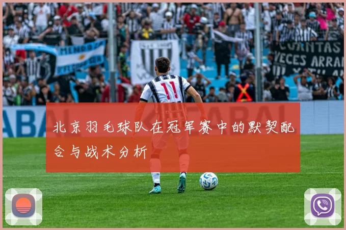 北京羽毛球队在冠军赛中的默契配合与战术分析